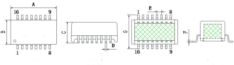NWT-Size Network Transformer